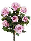 Two Tone Pink