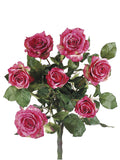 Two Tone Rose