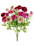 Cerise Beauty