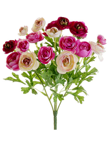 Cerise Beauty