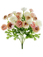 Pink Ivory