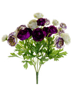 Violet Orchid