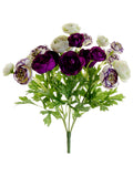 Violet Orchid