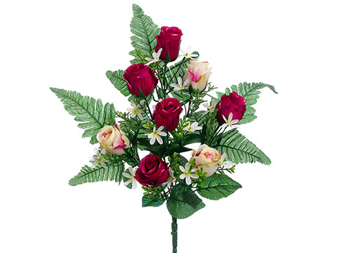 Rubrum Cream