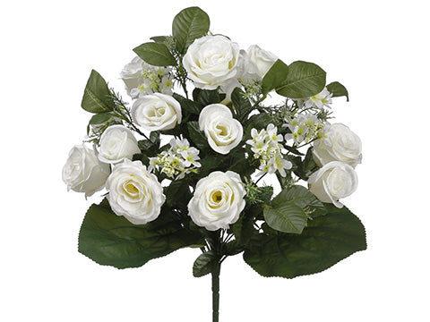 17" Rose Bsuh x24  White (pack of 6)