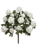 White Cream