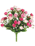 Pink Beauty