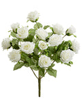Cream White