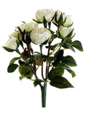 Cream Green
