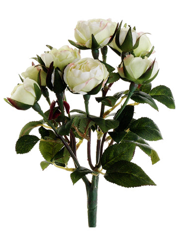 Cream Green
