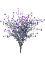 Purple Lavender