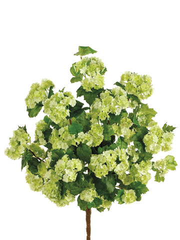20" Snowball Bush x9  Green (pack of 12)