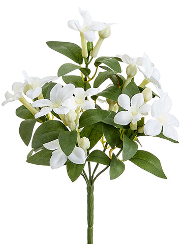 10" Stephanotis Bush x5  White (pack of 12)