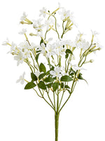 20" Stephanotis Bush x7  White (pack of 12)