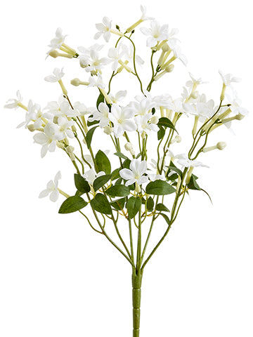 20" Stephanotis Bush x7  White (pack of 12)