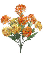 Orange Yellow