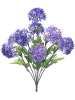Purple Lavender
