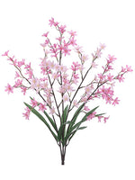 Two Tone Pink