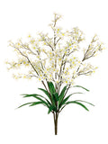 Cream White