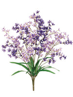 Two Tone Purple