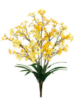 Two Tone Yellow