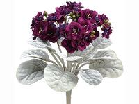 Eggplant