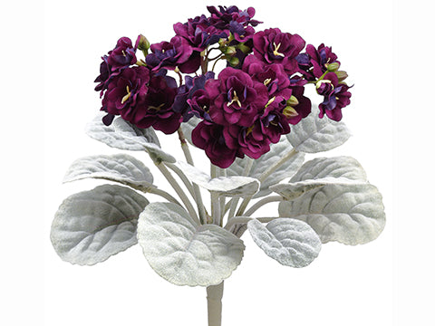 Eggplant