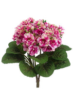 Fuchsia Cream