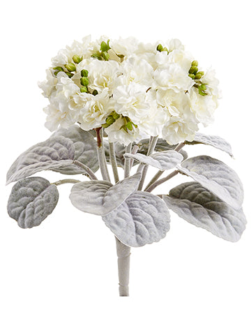 12" African Violet Bush x4  Cream (pack of 12)