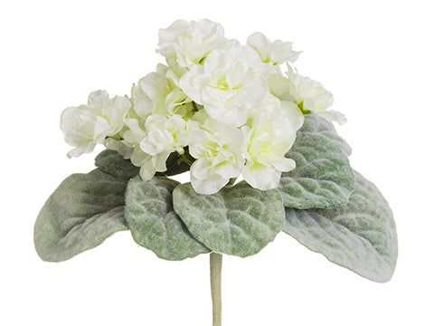 Cream