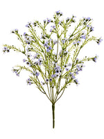 Lavender Purple