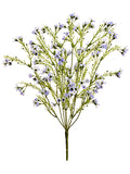 Lavender Purple