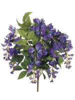 Violet Blue