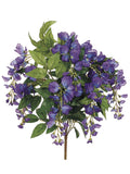 Violet Blue