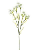 White Green