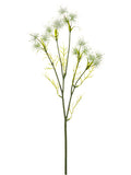 White Green