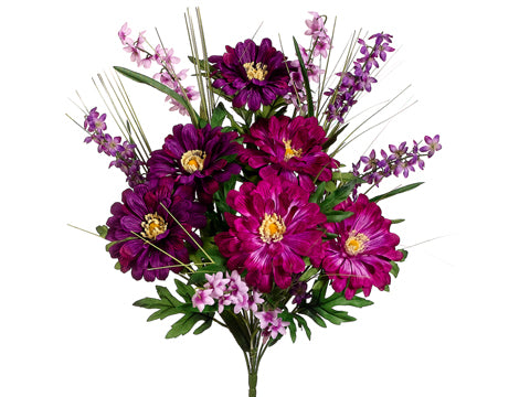Purple Orchid