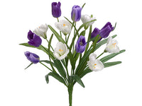 Purple Lavender