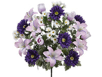 Purple Mixed