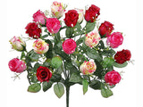 Beauty Pink