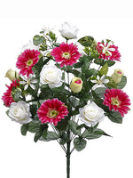 25" Gerbera Daisy/Rose Bush x21 Fuchsia Cream (pack of 6)