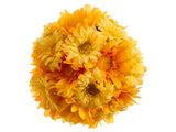 Two Tone Yellow