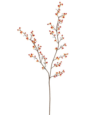 31" Bittersweet Spray  Red (pack of 12)