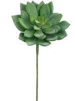 Green Gray