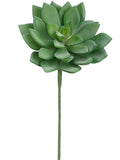 Green Gray