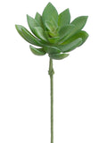 Green Gray