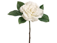 11" Gardenia Pick  Cream (pack of 12)