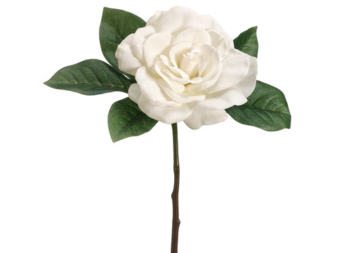 11" Gardenia Pick  Cream (pack of 12)
