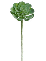 Green Gray