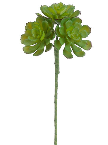 9" Mini Hens And Chicks Bouquet Pick x3 Green (pack of 24)